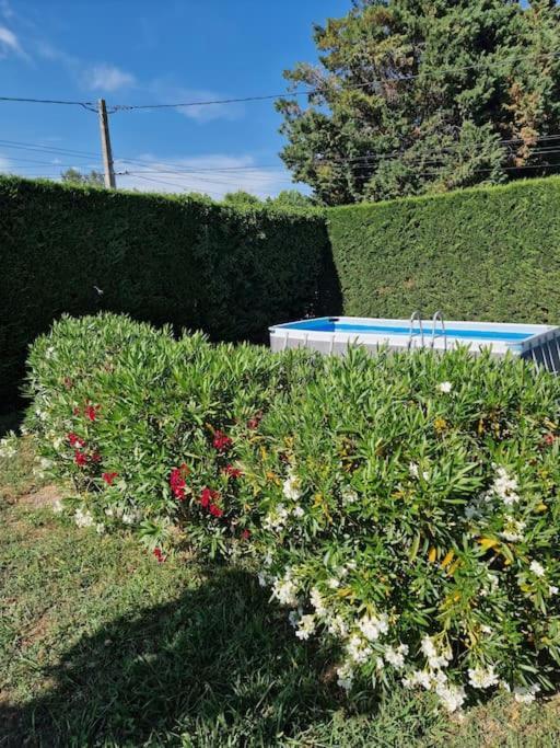 St Rèmy de Provence, La Maison du Berger Saint-Andiol Esterno foto